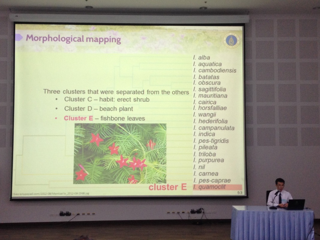 Oral Presentation at the 2nd TURFPAG2 (April 2016) (Photo by Dr.Traiperm P.)