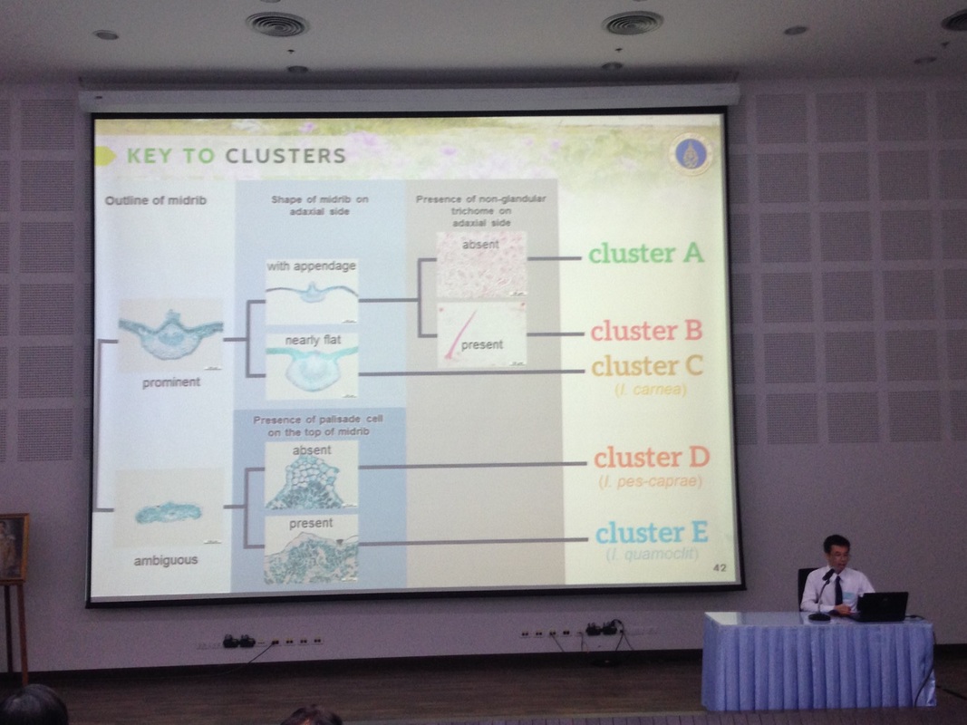 Oral Presentation at the 2nd TURFPAG2 (April 2016) (Photo by Dr.Traiperm P.)